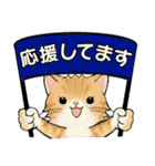 ラブリー猫さん ♡ 日常基本編（個別スタンプ：29）