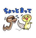ゆるはちゅ日常用（個別スタンプ：25）