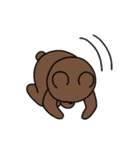 なんでもかぶりたがるクマ 2（個別スタンプ：39）