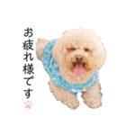 六郎・月渡・ランちゃん（個別スタンプ：1）