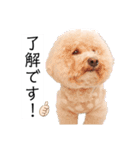 六郎・月渡・ランちゃん（個別スタンプ：3）