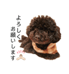 六郎・月渡・ランちゃん（個別スタンプ：4）