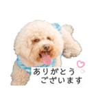六郎・月渡・ランちゃん（個別スタンプ：5）