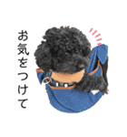 六郎・月渡・ランちゃん（個別スタンプ：8）