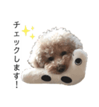 六郎・月渡・ランちゃん（個別スタンプ：9）