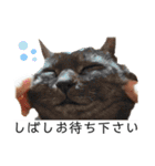 六郎・月渡・ランちゃん（個別スタンプ：12）