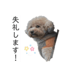 六郎・月渡・ランちゃん（個別スタンプ：13）