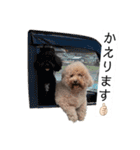 六郎・月渡・ランちゃん（個別スタンプ：14）