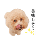 六郎・月渡・ランちゃん（個別スタンプ：15）