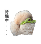 六郎・月渡・ランちゃん（個別スタンプ：17）