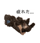 六郎・月渡・ランちゃん（個別スタンプ：20）