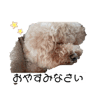 六郎・月渡・ランちゃん（個別スタンプ：21）
