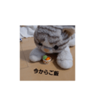 ねこの1日❗（個別スタンプ：4）