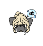 PUGといっしょ（個別スタンプ：2）