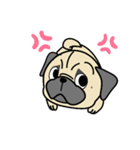 PUGといっしょ（個別スタンプ：4）