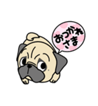 PUGといっしょ（個別スタンプ：9）