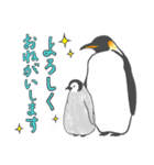 たのしいなかまたち【ペンギン親子編】（個別スタンプ：1）