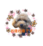 使いやすいスタンプ(敬語方言もあり)（個別スタンプ：4）