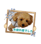 使いやすいスタンプ(敬語方言もあり)（個別スタンプ：5）