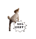 使いやすいスタンプ(敬語方言もあり)（個別スタンプ：9）