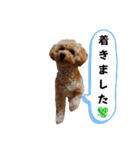 使いやすいスタンプ(敬語方言もあり)（個別スタンプ：10）