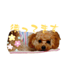 使いやすいスタンプ(敬語方言もあり)（個別スタンプ：12）