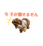 使いやすいスタンプ(敬語方言もあり)（個別スタンプ：13）