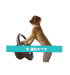 使いやすいスタンプ(敬語方言もあり)（個別スタンプ：14）