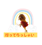 使いやすいスタンプ(敬語方言もあり)（個別スタンプ：16）