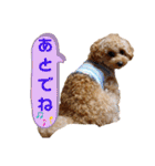 使いやすいスタンプ(敬語方言もあり)（個別スタンプ：19）