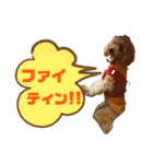 使いやすいスタンプ(敬語方言もあり)（個別スタンプ：25）