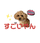 使いやすいスタンプ(敬語方言もあり)（個別スタンプ：32）