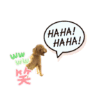 使いやすいスタンプ(敬語方言もあり)（個別スタンプ：34）