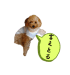 使いやすいスタンプ(敬語方言もあり)（個別スタンプ：40）