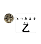 家猫5匹暮らし！ 4（個別スタンプ：3）