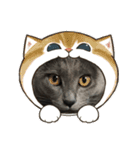 黒猫とグレー猫（個別スタンプ：31）
