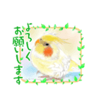 可愛い〜〜インコstamp（個別スタンプ：3）