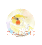 可愛い〜〜インコstamp（個別スタンプ：8）