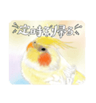 可愛い〜〜インコstamp（個別スタンプ：22）