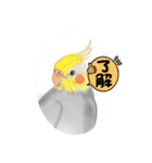 可愛い〜〜インコstamp（個別スタンプ：26）