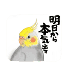 可愛い〜〜インコstamp（個別スタンプ：30）