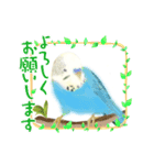 可愛い〜〜インコstamp（個別スタンプ：31）