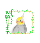 可愛い〜〜インコstamp（個別スタンプ：32）