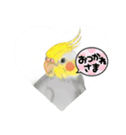 可愛い〜〜インコstamp（個別スタンプ：39）