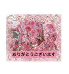 ⭐︎♡Lovely♡⭐︎（個別スタンプ：37）