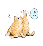 うちの子茶トラ猫！(にほんねこ)（個別スタンプ：3）