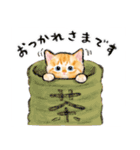 うちの子茶トラ猫！(にほんねこ)（個別スタンプ：16）