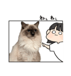 あおちゃんがすっきー（個別スタンプ：3）
