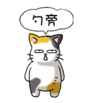 難読漢字と猫 その1（個別スタンプ：13）