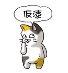 難読漢字と猫 その1（個別スタンプ：14）